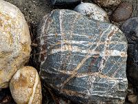 Dichte Kreuz und Quermaserung an grauem Stein